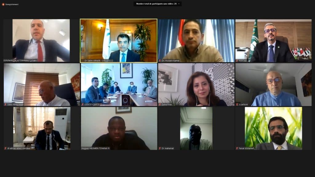 icesco_webinar_culture_musems_11