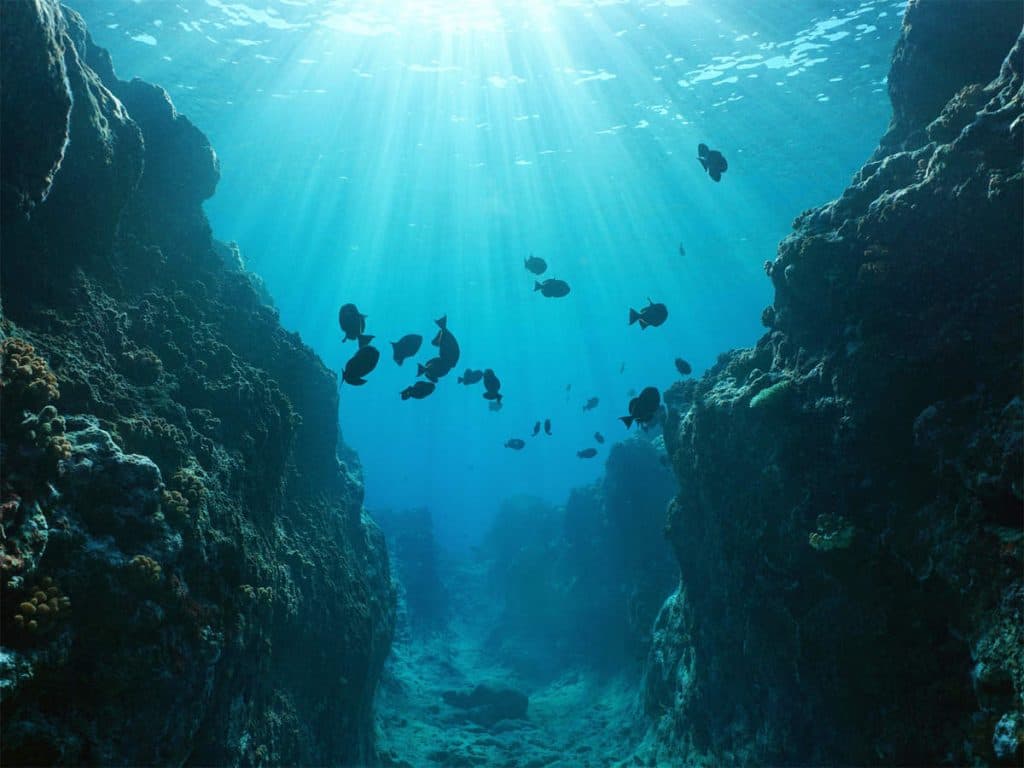new-chinese-submersible-reaches-earths-deepest-ocean-trench