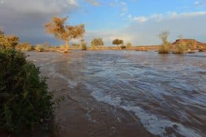 سحب ممطرة على عدد من مناطق المملكة