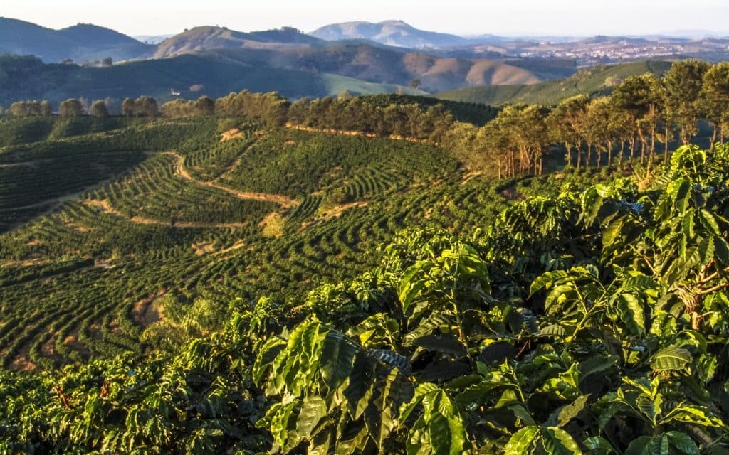 brazil-landscape-2