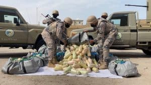 إحباط تهريب 655 كيلو من الحشيش المخدر في الخفجي
