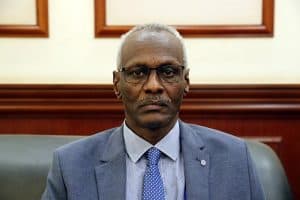 وزير الري السوداني: سد النهضة أصبح يهدد السلم والأمن الإقليميين