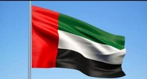 الإمارات: نقف مع المملكة ضد كل تهديد يطال امنها واستقرارها