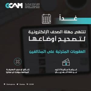 هيئة الإعلام المرئي والمسموع: غدًا انتهاء المهلة التصحيحية للصحف الإلكترونية