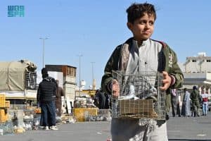 سوق الحمام في تبوك.. ملتقى أسبوعي لعشاق الطيور