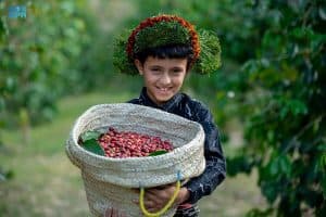 مهرجان البن الخولاني السعودي يكشف عن شعاره الجديد