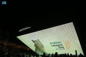 جناح المملكة يحتفي بيوم النمر العربي في معرض “إكسبو 2020 دبي”