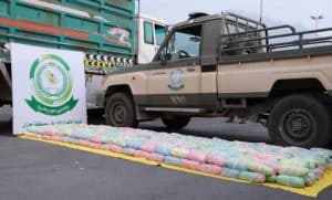 الأفواج الأمنية بمنطقة جازان تقبض على مواطن بحوزته (246) كيلو جرامًا من نبات القات المخدر