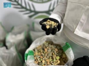 “مكافحة المخدرات” تحبط محاولة تهريب (403,000) قرص إمفيتامين بمحافظة جدة