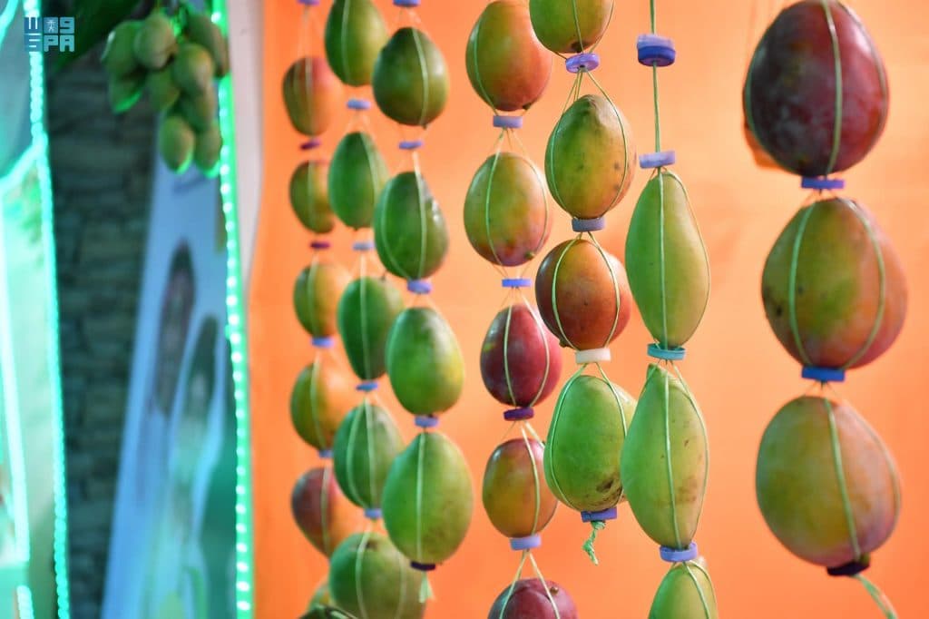 DST_1741610_3303429_11_4_2022060211200296