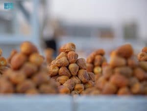 انطلاق مهرجان بريدة للتمور الاثنين المقبل وسط أكبر تظاهرة اقتصادية بالمملكة
