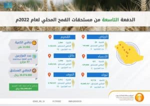 المؤسسة العامة للحبوب تصرف مستحقات الدفعة التاسعة لمزارعي القمح المحلي