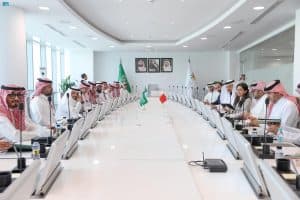 نائب وزير الموارد البشرية لقطاع العمل يعقد اجتماعًا مع وزير العمل البحريني