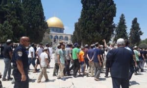 تحت حماية شرطة الاحتلال.. عشرات المستوطنين يقتحمون المسجد الأقصى
