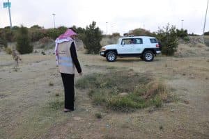 مركز الغطاء النباتي يسجل 110 مخالفات بيئية بمنطقة عسير