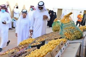 برعاية أمير حائل.. انطلاق مهرجان التمور غدًا بالمنطقة