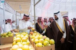 افتتاح فعاليات مهرجان الرمان بالباحة