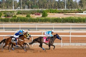 نادي سباقات الخيل يُنَظِّمُ الحفلَ الـ (36) في موسم سباقات الطائف 2022