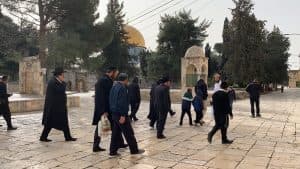 تحت حماية شرطة الاحتلال.. المستوطنون يقتحمون المسجد الأقصى