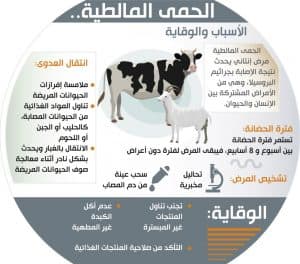 “صحة حائل” تواصل تنفيد حملتها التوعوية عن الحمى المالطية