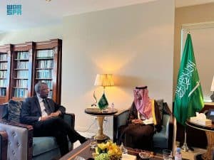 وزير الدولة للشؤون الخارجية يلتقي وزير خارجية جزر البهاما