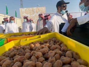 فعاليات مهرجان “تمور القويعية 4” تنطلق تحت شعار “خلاصنا ذهب”