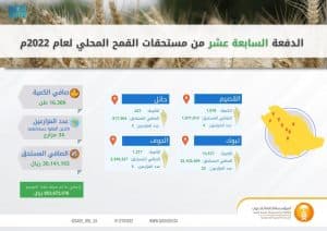 المؤسسة العامة للحبوب تصرف مستحقات الدفعة السابعة عشرة لمزارعي القمح المحلي