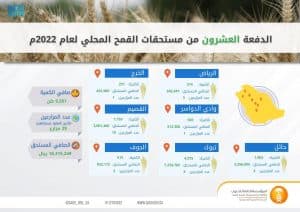 “الحبوب”: صرف مستحقات الدفعة العشرين لمزارعي القمح المحلي