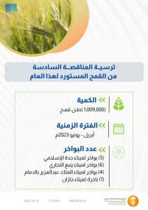 “الحبوب”: إتمام إجراءات الترسية لتوريد “مليون طن” من القمح المستورد