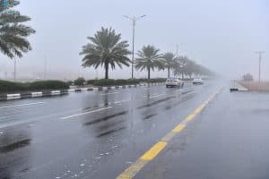 أمطار رعدية على بعض مناطق المملكة