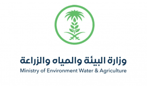 “البيئة”: لا صحة للمعلومات المتداولة بشأن فترة التحريم للماشية وتسببها في أمراضٍ بشرية
