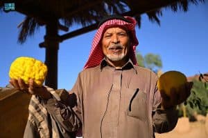 انطلاق مهرجان العلا للحمضيات في نسخته الثانية