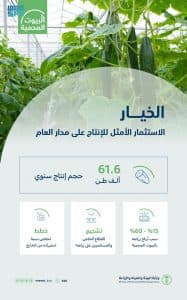 إنتاج الخيار من البيوت المحمية 61.624 طنًّا سنويًّا