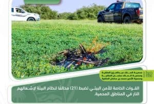 ضَبْط 31 مخالفًا لنظام البيئة لإشعالهم النار في المناطق المحمية