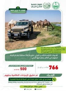 القبض على 34 مخالفًا لرعيهم 766 متنًا من الإبل في 4 محميات طبيعية