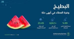 “البيئة “: أكثر من 624 ألف طن حجم إنتاج البطيخ سنويًّا بالمملكة ونسبة اكتفاء ذاتي تصل إلى 99%