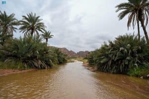 أمطار رعدية على بعض مناطق المملكة
