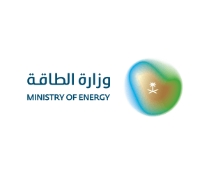 وزارة الطاقة تنفذ 9,263 زيارة رقابية وترصد 964 مخالفة خلال شهر يوليو 2026