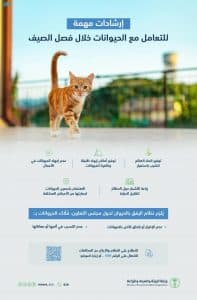 “البيئة” تحث على تعزيز مبدأ الرفق بالحيوان والحماية من درجات الحرارة المرتفعة