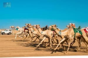 المطية (الشبابية) تحقِّق التوقيتَ الأفضلَ في منافسات فئة جذاع