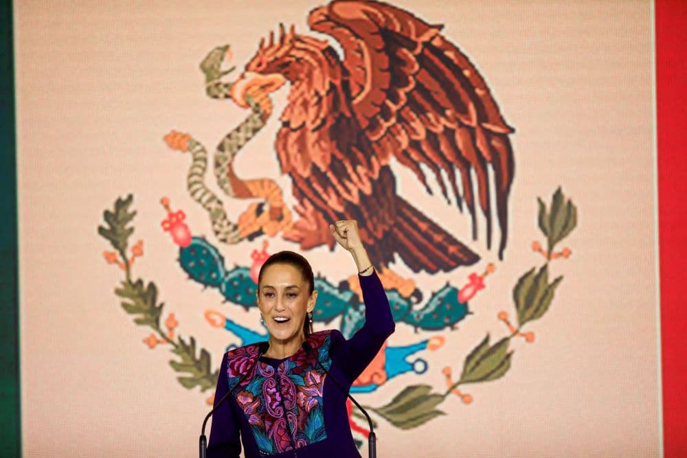 2024-06-03T064039Z_590124101_RC2F38AUDDOE_RTRMADP_3_MEXICO-ELECTION