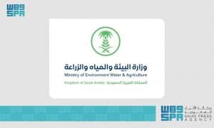 القوات الخاصة للأمن البيئي تضبط مخالفًا لنظام البيئة لتلويثه البيئة بتفريغ مواد خرسانية في منطقة حائل