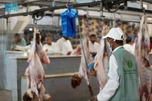 “البيئة” تكشف عن عدد المذبوحات في مسالخ منطقة الرياض