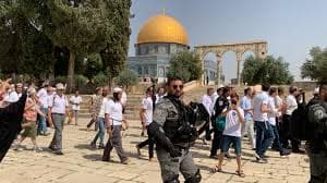مستوطنون يقتحمون المسجد الأقصى.. والاحتلال يعتقل 28 فلسطينيًّا من الضفة