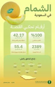بإنتاج سنوي يتجاوز 55 ألف طن.. المملكة تحقق الاكتفاء الذاتي من الشمام