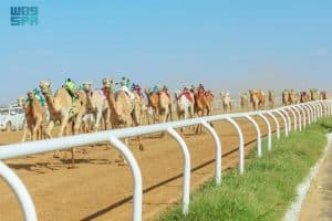 مهرجان ولي العهد للهجن يدخل موسوعة “جينيس” للمرة الرابعة