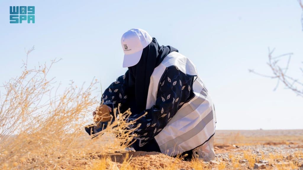 Mad9Q0ulHekOSopyzNzqCX4hdjiFnP6ED8j9bfJ4