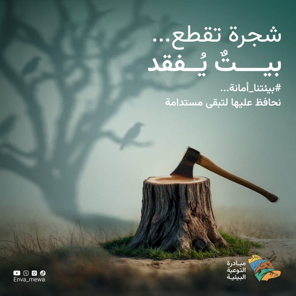 WhatsApp Image 2025-02-26 at 11.42.01_aa8a0339