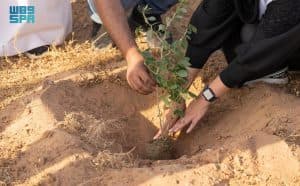 “الغطاء النباتي” يزرع أكثر من 20 مليون شجرة في منطقة الرياض