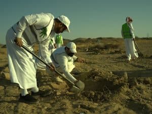 الغطاء النباتي: ٧ ملايين شجرة غُرست لمستقبل أخضر في مكة